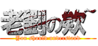 老劉の欸~ (You should understand)
