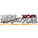 進撃の死魚 (attack on dead fish)