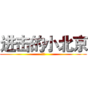 进击的小北京 (大爷)