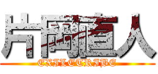 片岡直人 (EXILETRIBE)