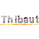 Ｔｈｉｂａｕｔ (attack on titan)