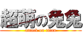 超萌の兔兔 (attack on titan)