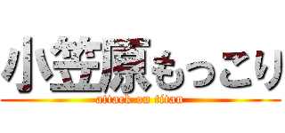 小笠原もっこり (attack on titan)