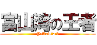 富山湾の王者 (Yellowtail)