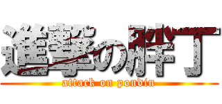 進撃の胖丁 (attack on pondin)