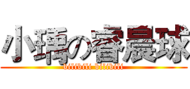 小瑀の睿晨球 (bilibili bilibili)