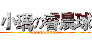 小瑀の睿晨球 (bilibili bilibili)