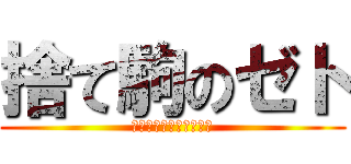 捨て駒のゼト (シグルドには勝てません)