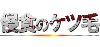 侵食のケツ毛 ()