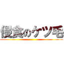 侵食のケツ毛 ()