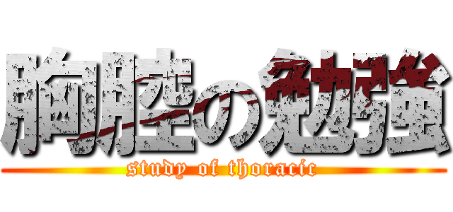 胸腔の勉強 (study of thoracic)