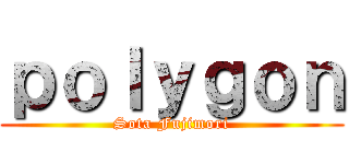 ｐｏｌｙｇｏｎ (Sota Fujimori)
