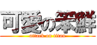 可愛の笨鮮 (attack on titan)