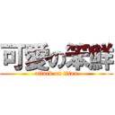 可愛の笨鮮 (attack on titan)