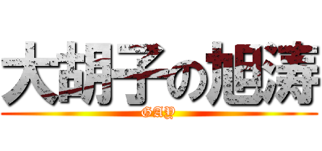 大胡子の旭涛 (GAY)