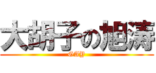 大胡子の旭涛 (GAY)