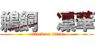 鵜飼  凜華 (attack on titan)