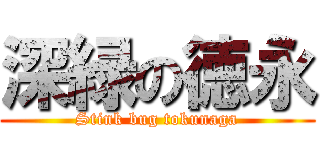 深緑の徳永 (Stink bug tokunaga)