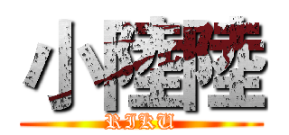 小陸陸 (RIKU)