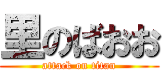 里のばおお (attack on titan)