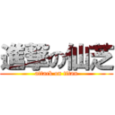 進撃の仙芝 (attack on titan)