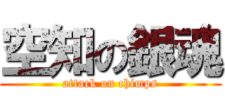 空知の銀魂 (attack on chimps)