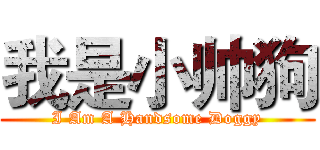 我是小帅狗 (I Am A Handsome Doggy)