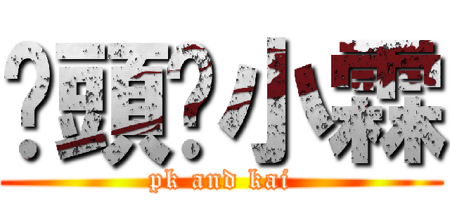 柒頭乄小霖 (pk and kai)