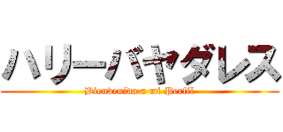 ハリーバヤダレス (Bienvenido a mi Perfil)
