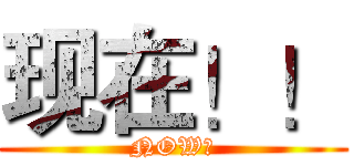 现在！！ (NOW！)