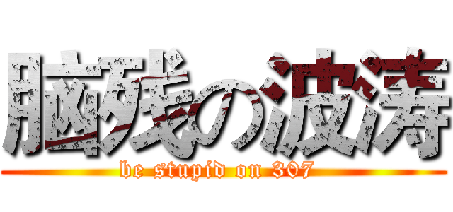 脑残の波涛 (be stupid on 307 )