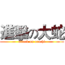 進擊の大蛇 (attack on orochi)