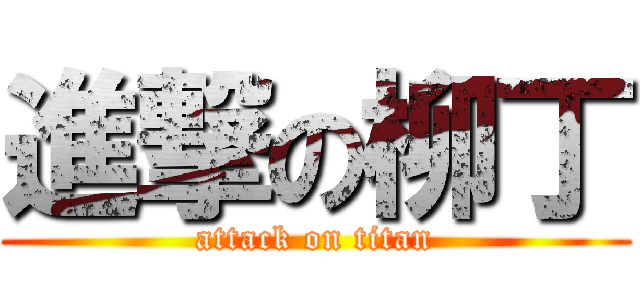進撃の柳丁 (attack on titan)