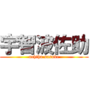 宇智波佐助 (uchiha sasuke)