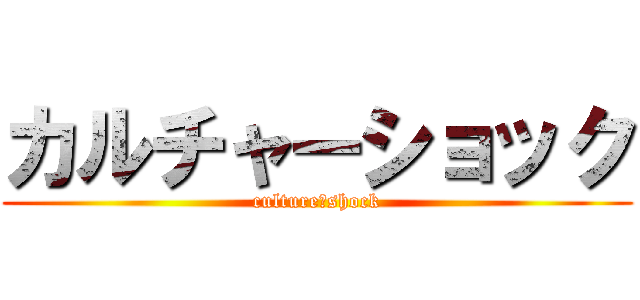 カルチャーショック (culture　shock)
