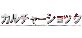 カルチャーショック (culture　shock)