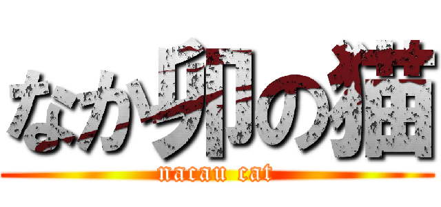 なか卯の猫 (nacau cat)