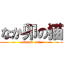 なか卯の猫 (nacau cat)