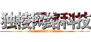 独棱网络科技 (QQ:2285728543)