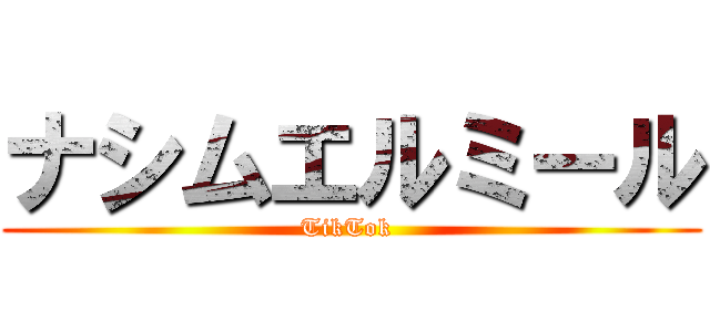 ナシムエルミール (TikTok )