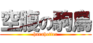 空腹の駒鳥 (harahetter)