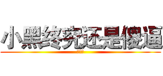 小黑终究还是傻逼 (没救了)