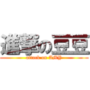 進撃の豆豆 (attack on AMY)