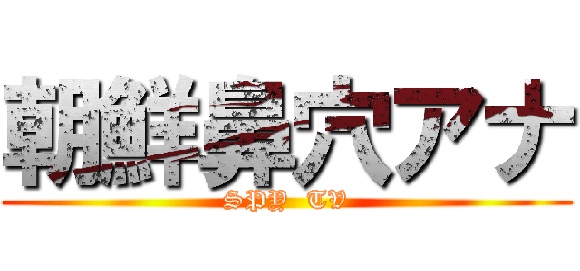 朝鮮鼻穴アナ (SPY  TV)