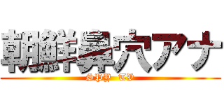 朝鮮鼻穴アナ (SPY  TV)