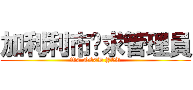 加利利市徵求管理員 (WE NEED YOU)
