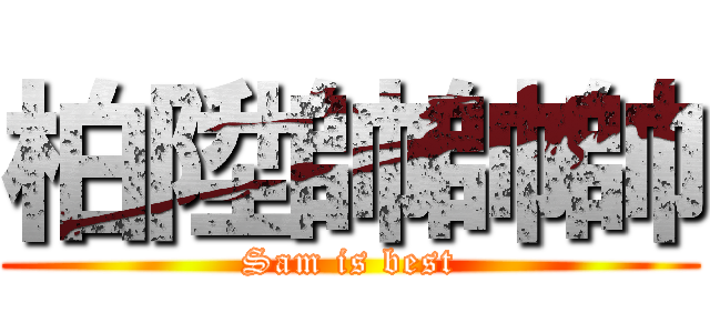 柏陞帥帥帥 (Sam is best)