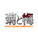 菊と梅 (Chrysanthemum and Plum flower)