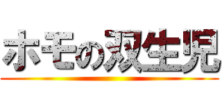 ホモの双生児 ()