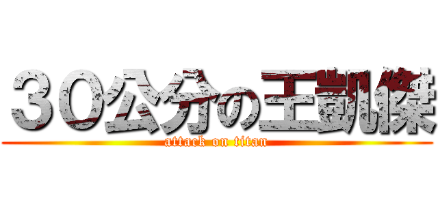 ３０公分の王凱傑 (attack on titan)